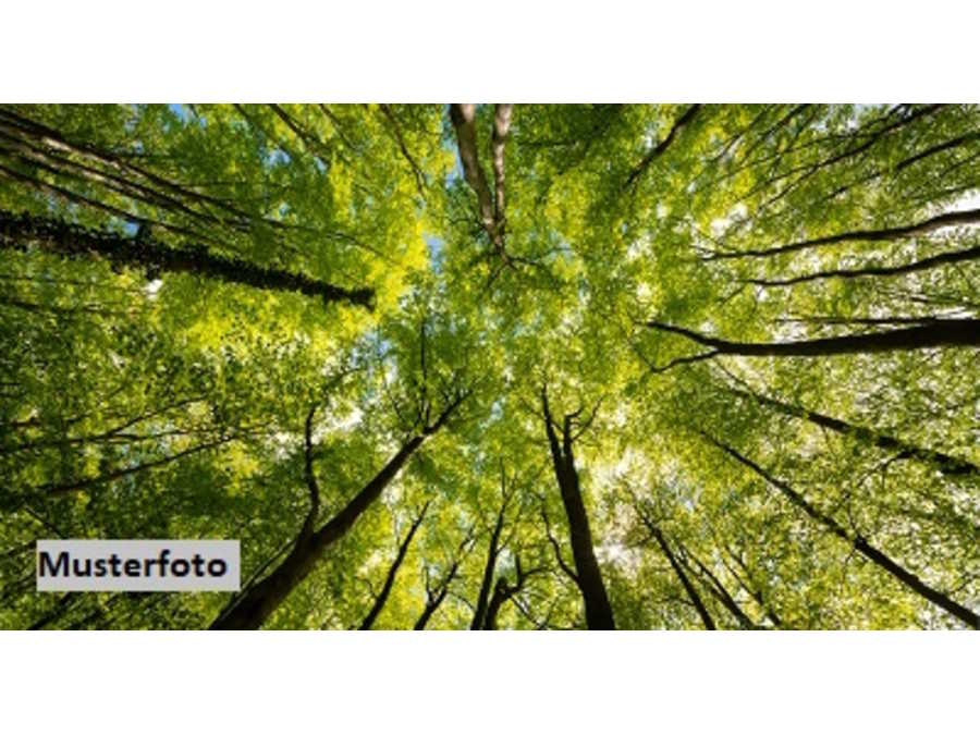 Immobilie: Landwirtschaftsgrund in 6236 Alpbach