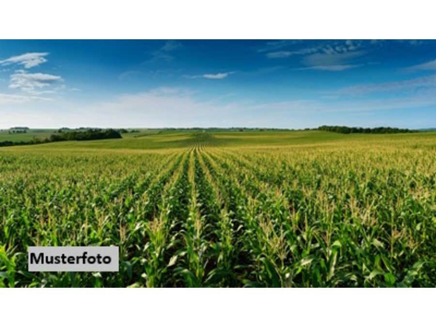 Immobilie: Landwirtschaftsgrund in 8242 Auerbach