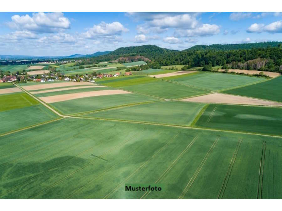 Immobilie: Landwirtschaftsgrund in 8344 Bad Gleichenberg