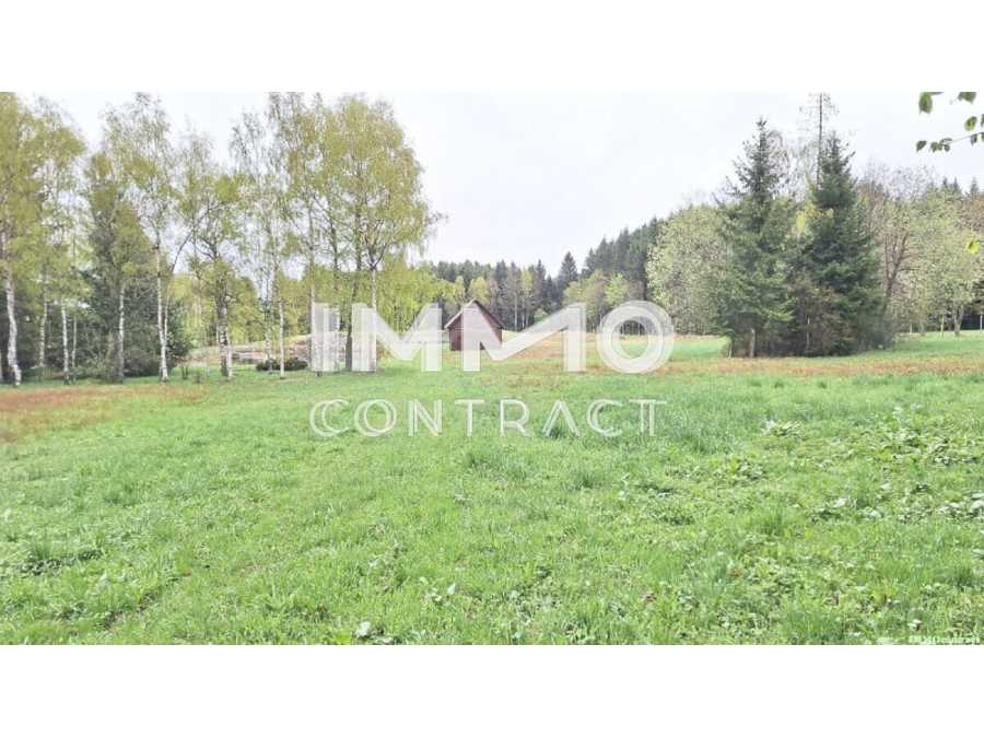 Immobilie: Landwirtschaftsgrund in 3632 Bad Traunstein