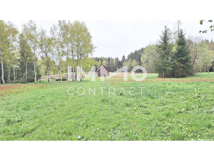 Immobilie: Landwirtschaftsgrund in 3632 Bad Traunstein