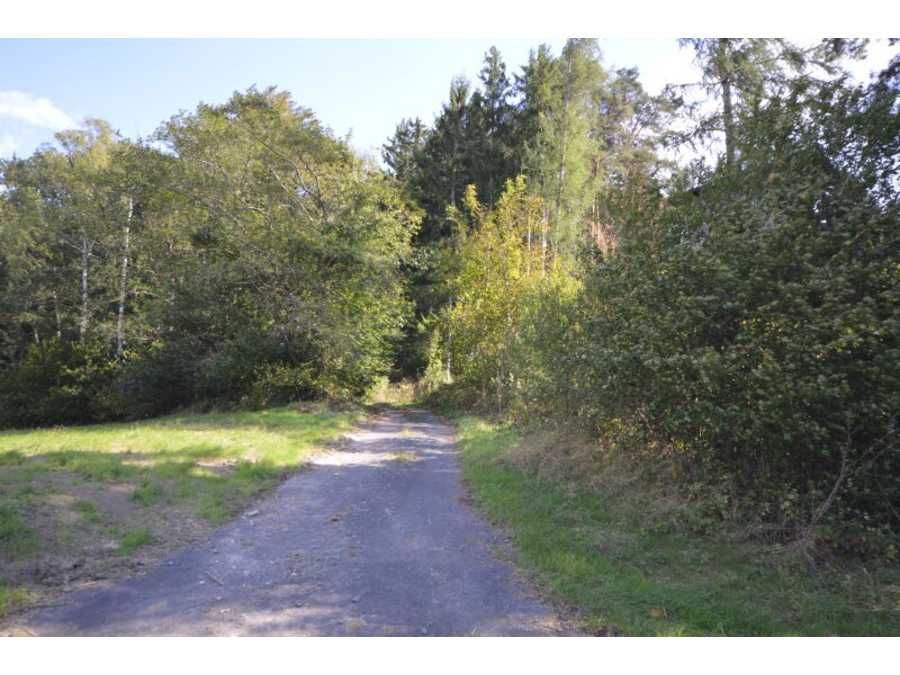 Immobilie: Landwirtschaftsgrund in 7433 Bergwerk