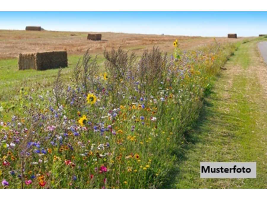 Immobilie: Landwirtschaftsgrund in 6840 Götzis