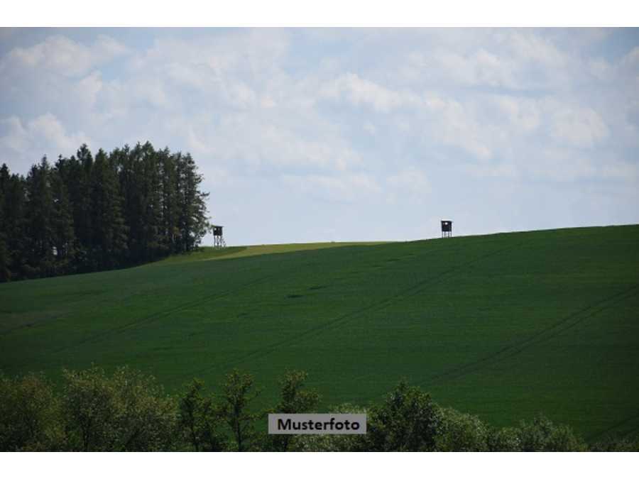 Landwirtschaftsgrund in 4102 Goldwörth Immobilie: Landwirtschaftsgrund in 4102 Goldwörth