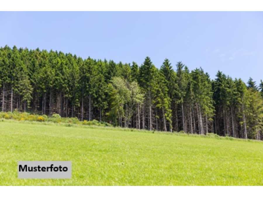 Immobilie: Landwirtschaftsgrund in 8452 Großklein