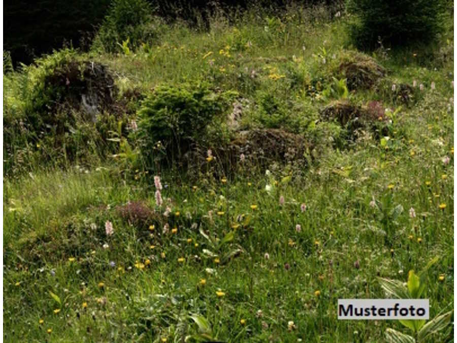 Immobilie: Landwirtschaftsgrund in 8680 Mürzzuschlag