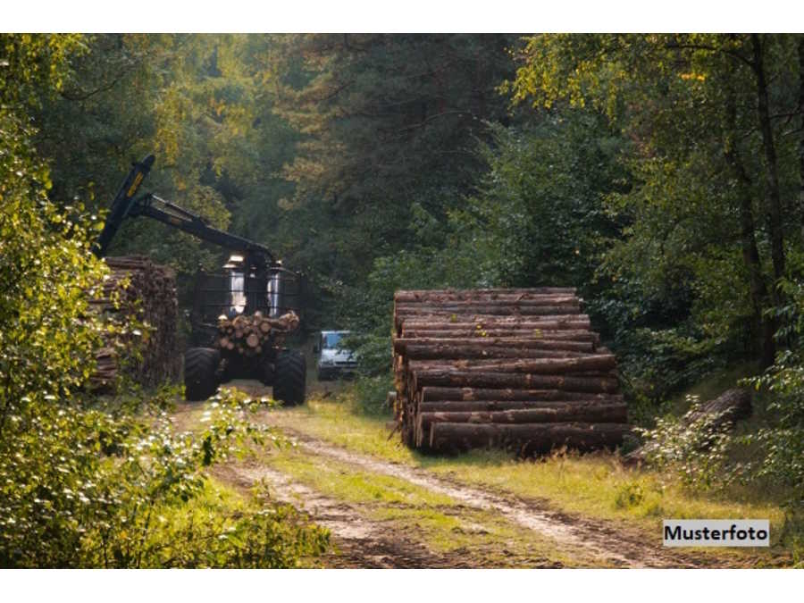 Immobilie: Landwirtschaftsgrund in 2620 Natschbach