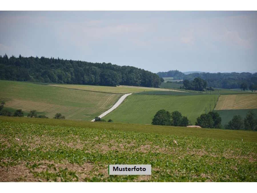 Landwirtschaftsgrund in 2070 Obernalb Immobilie: Landwirtschaftsgrund in 2070 Obernalb