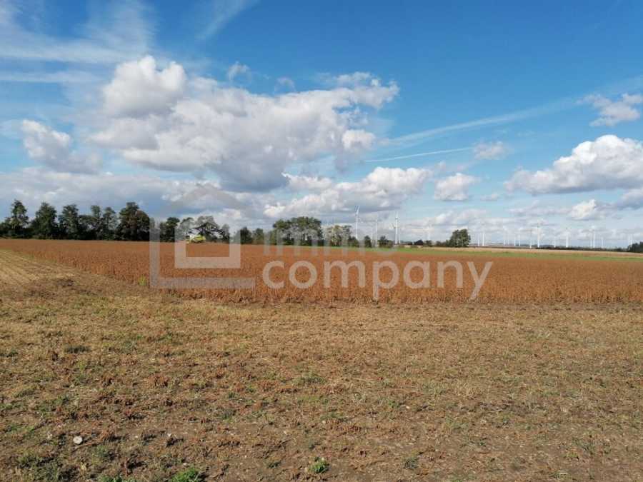 Immobilie: Ackerbau in 7111 Parndorf