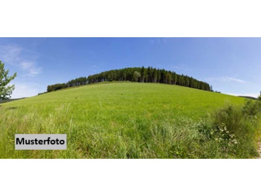 Immobilie: Landwirtschaftsgrund in 8242 St. Lorenzen am Wechsel