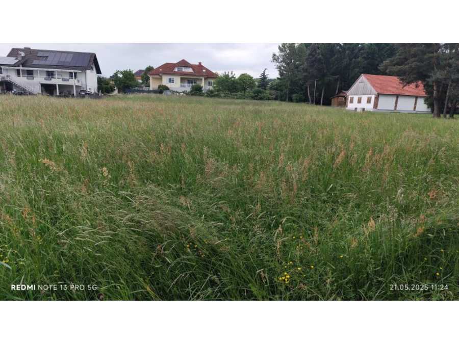 Landwirtschaftsgrund in 7400 Sankt Martin in der Wart Immobilie: Landwirtschaftsgrund in 7400 Sankt Martin in der Wart