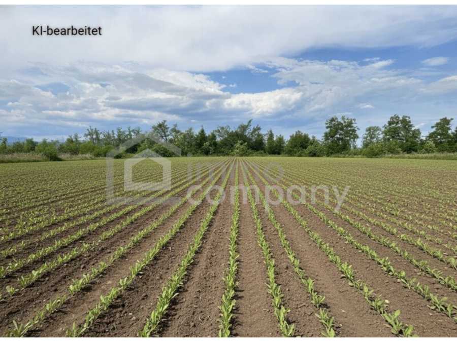 Immobilie: Landwirtschaftsgrund in 2601 Sollenau