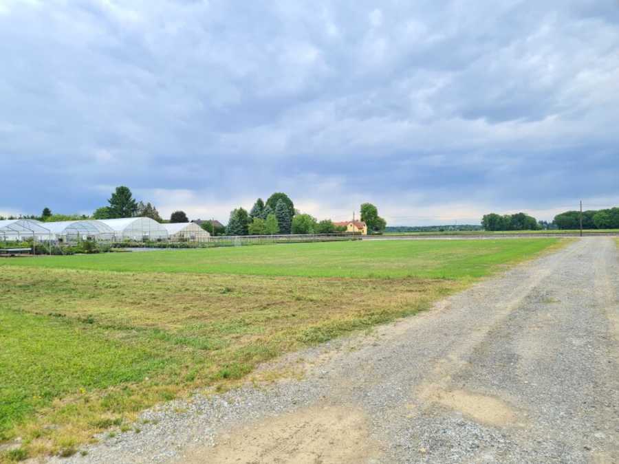 Landwirtschaftsgrund in 8472 Straß in Steiermark Immobilie: Landwirtschaftsgrund in 8472 Straß in Steiermark