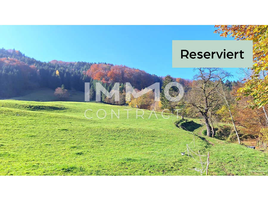 Immobilie: Landwirtschaftsimmobilie in 3283 St. Anton an der Jeßnitz