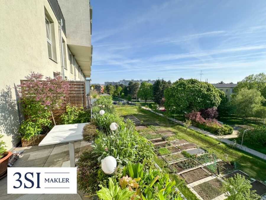 Immobilie: Maisonette in 1230 Wien