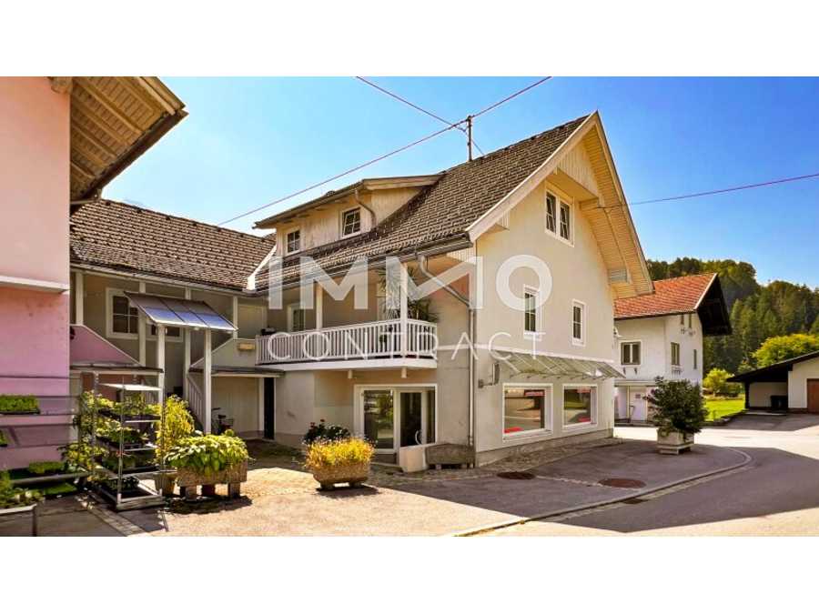 Immobilie: Mehrfamilienhaus in 9772 Dellach im Drautal