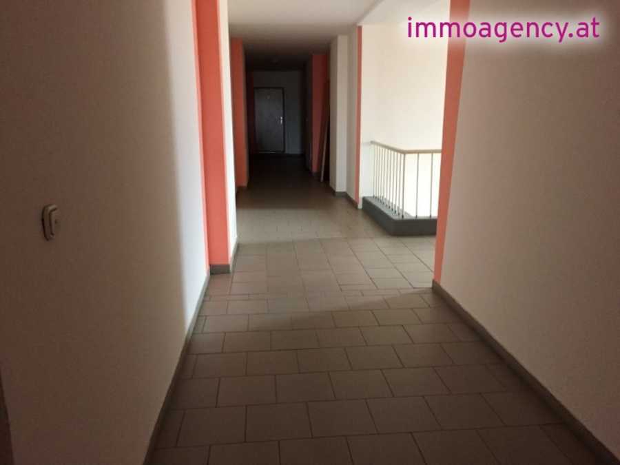 Mietwohnung in 2492 Eggendorf Immobilie: Mietwohnung in 2492 Eggendorf
