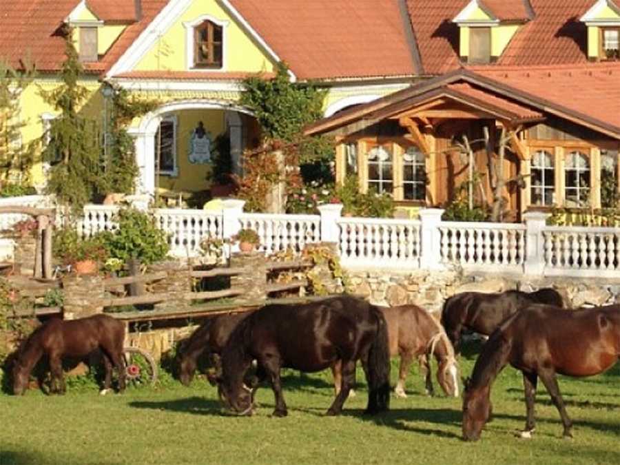 Mietwohnung in 8184 Oberfeistritz Immobilie: Mietwohnung in 8184 Oberfeistritz