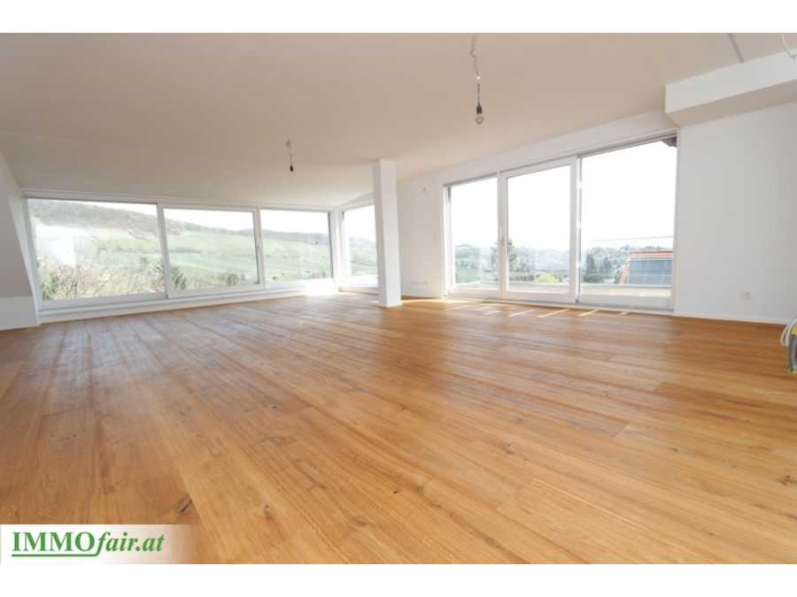 Penthouse in 1190 Wien Immobilie: Penthouse in 1190 Wien