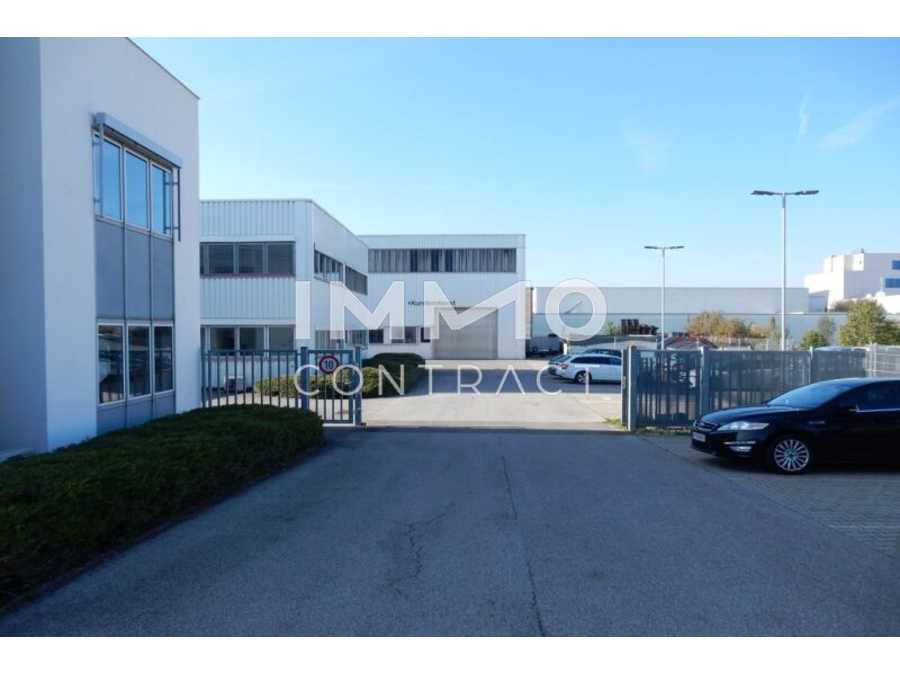 Immobilie: Produktionshalle in 1230 Wien