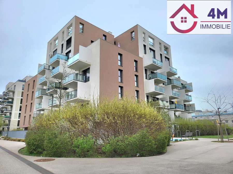 Terrassenwohnung in 1230 Wien Immobilie: Terrassenwohnung in 1230 Wien
