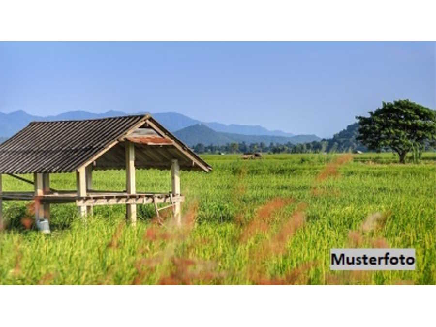 Immobilie: Viehwirtschaft in 4212 Neumarkt im Mühlkreis