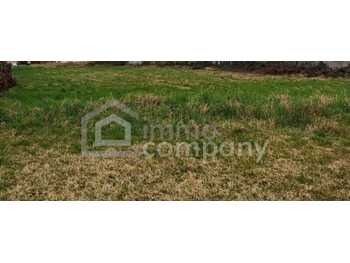 Baugrundstück Frauenkirchen