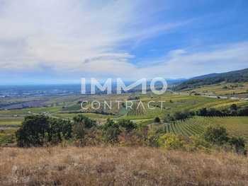 Baugrundstück Gumpoldskirchen