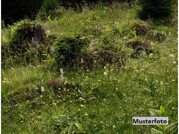 Baugrundstück Hitzendorf