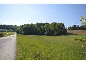 Baugrundstück Limbach