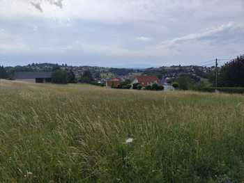 Baugrundstück Oberdorf im Burgenland