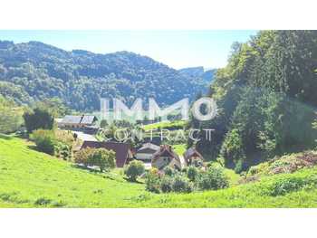 Baugrundstück St. Nikola an der Donau