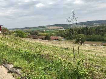 Baugrund in Thallern