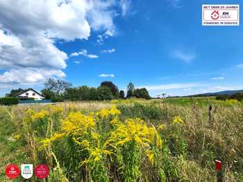 Baugrundstück Wiener Neustadt