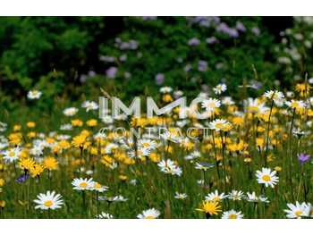 Eigentumswohnung Linz