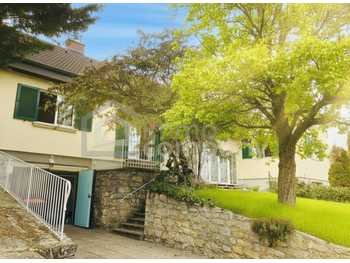 Einfamilienhaus Breitenbrunn am Neusiedler See