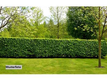 Freizeitgrundstück Münchendorf