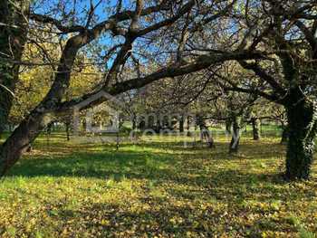 Grundstück Hornstein