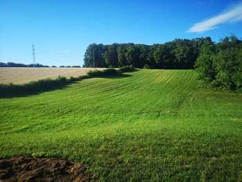 Grundstück Krottendorf