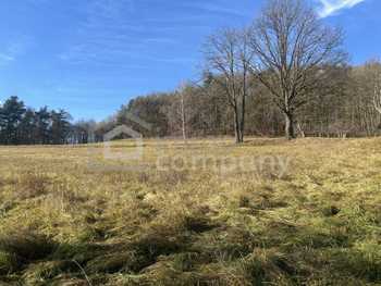 Grundstück Minihof-Liebau