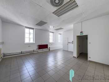 Halle Wien