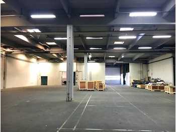 Halle Wien