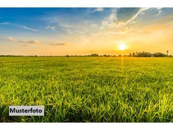 Halle Muthmannsdorf angrenzend an Dreistetten