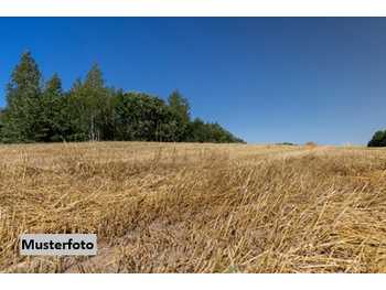 Halle Muthmannsdorf  angrenzend an Dreistetten