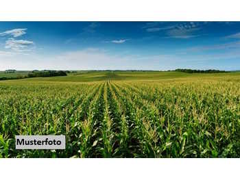 Halle Muthmannsdorf  angrenzend an Dreistetten