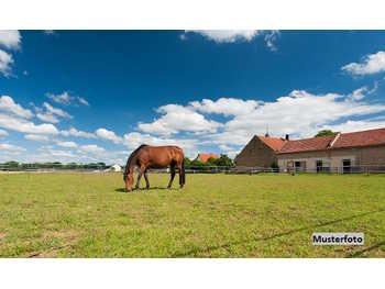 Landwirtschaft in Aigen