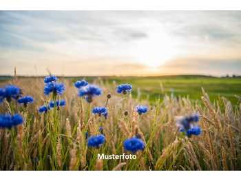 Landwirtschaft in Kapfenstein