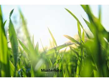 Landwirtschaft in Schöder