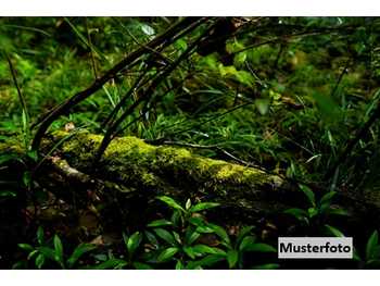 Landwirtschaftsgrund Alpbach