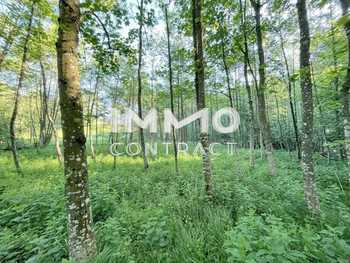 Landwirtschaftsgrund Ardagger Stift